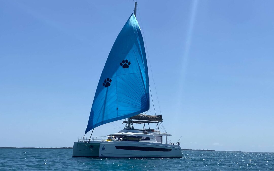NAUTI DOGS 5.4