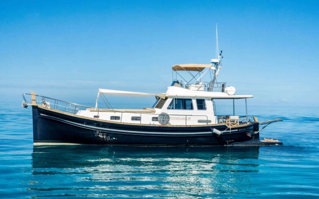Buccara XV